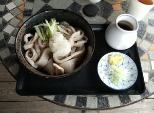 orosi_udon